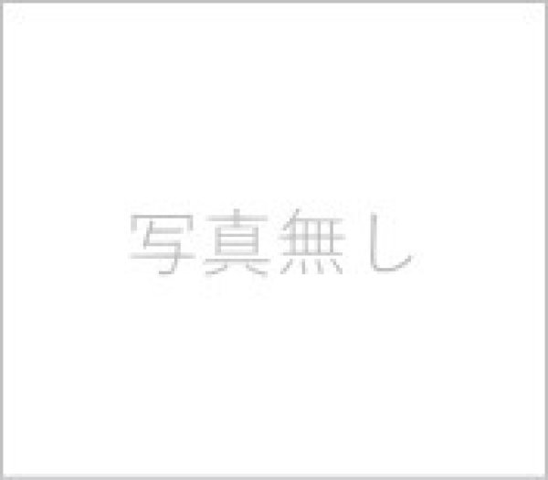 画像1: オプション装備品　屋根部分にステンシル印字（黒）（英文字・数字のみ）　１文字1か所３００円（税抜）文字数分カートに入れてください (1)